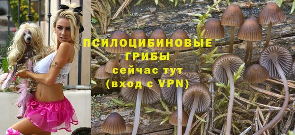 марки lsd Абаза